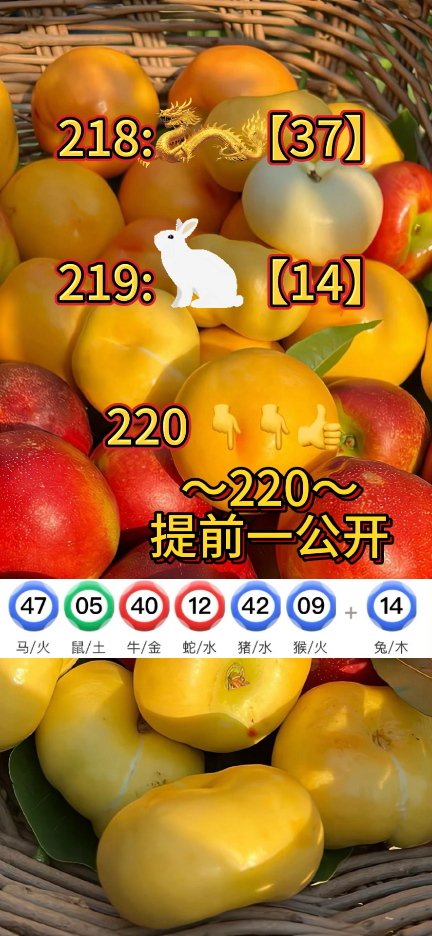 澳门独家资料,最新答案动态解析_vip2121,127.13