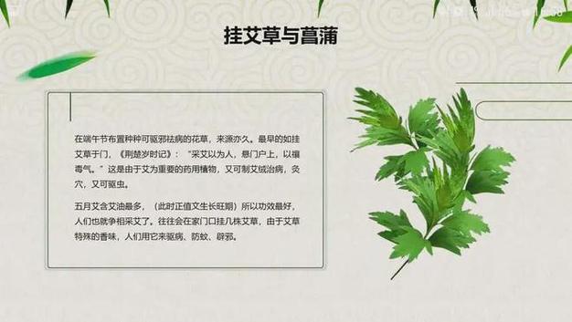 777788888管家婆免费和年轻人爱上端午挂艾与端午挂艾叶的原因