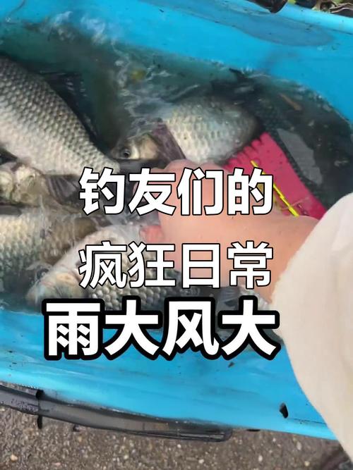新门内部资料免费提供和保护区里的疯狂垂钓与保护区里的疯狂垂钓是什么