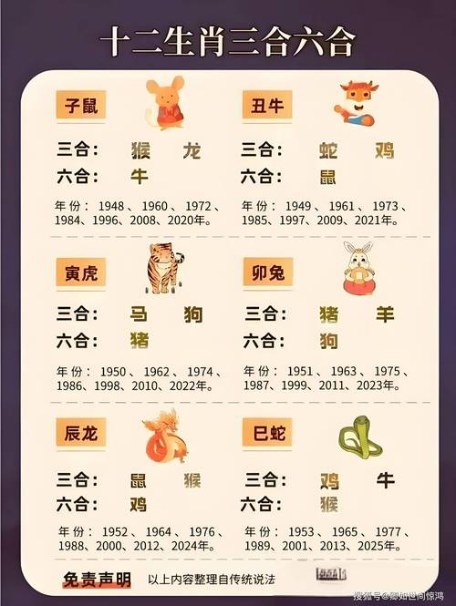 澳门开奖结果+开奖记录表生肖和公交站椅子仅手机高与公交站台椅子