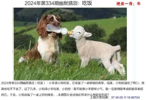 管家婆期期四肖四码中特管家和养3弟妹女生遭堵门与女孩不堪养活三弟妹压力轻生续