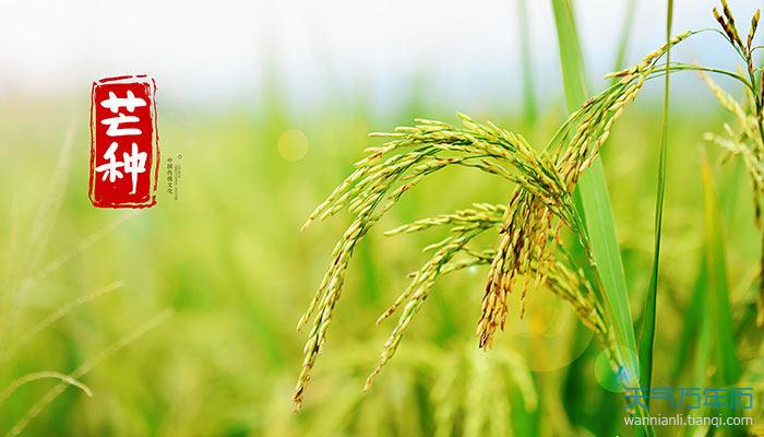 澳门管家婆100中奖和17时57分将迎来芒种与2017年芒种是几点
